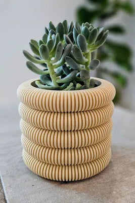 Coins Planter with Hidden Drip Tray