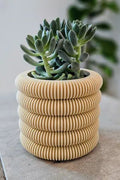 Coins Planter with Hidden Drip Tray