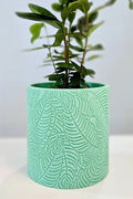 Palm Planter with Hidden Drip Tray
