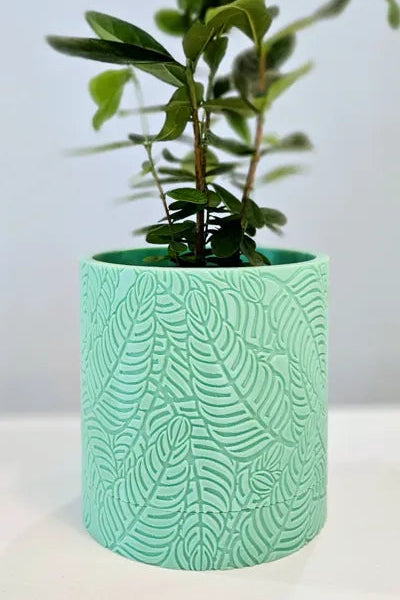 Palm Planter with Hidden Drip Tray