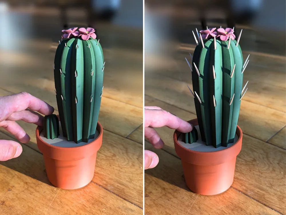 Toothpick Cactus