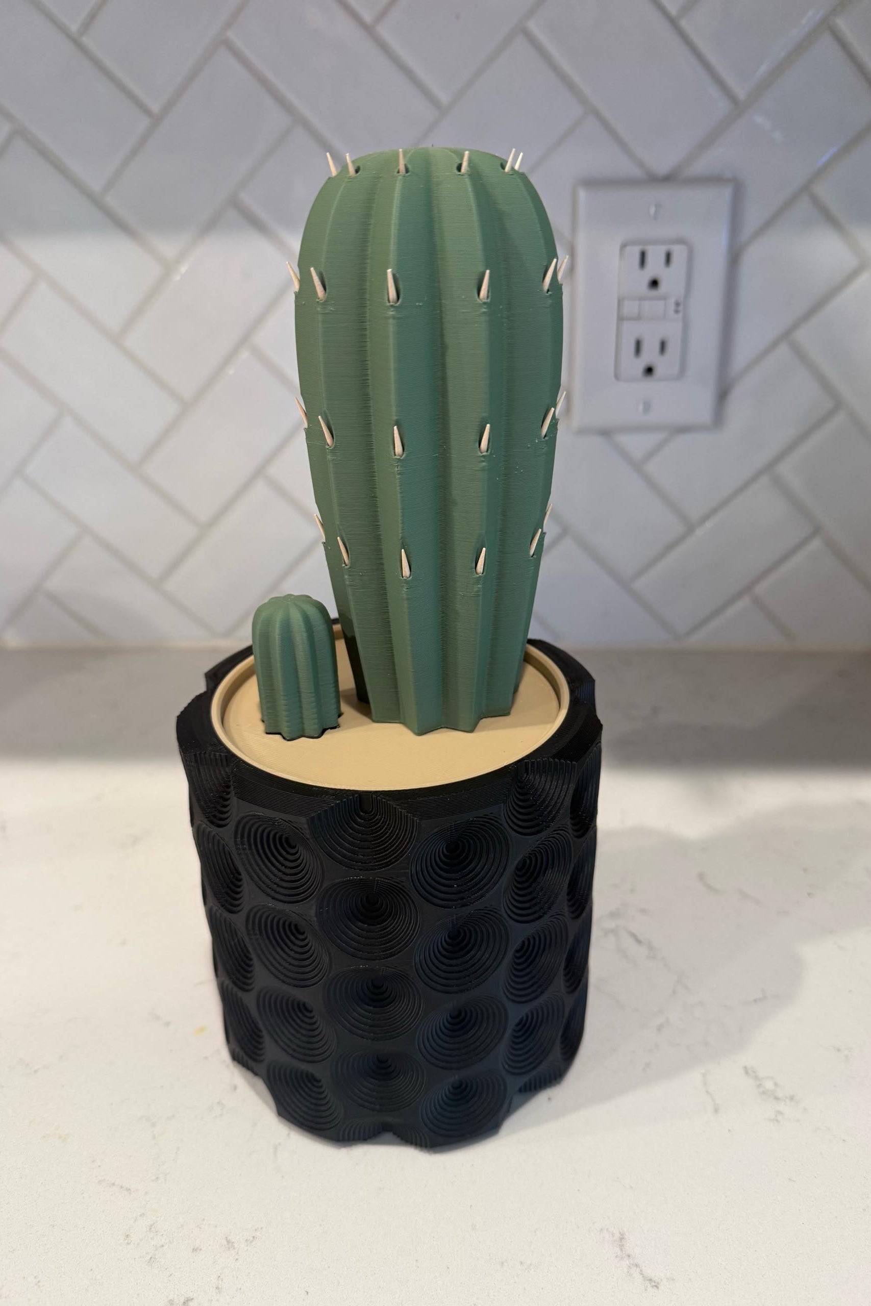 Toothpick Cactus