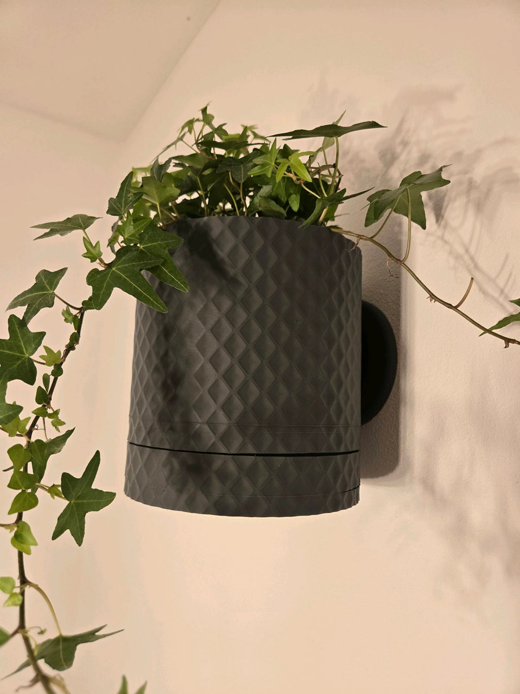 Diamond Design Wall Planter With Hidden Drip Dray