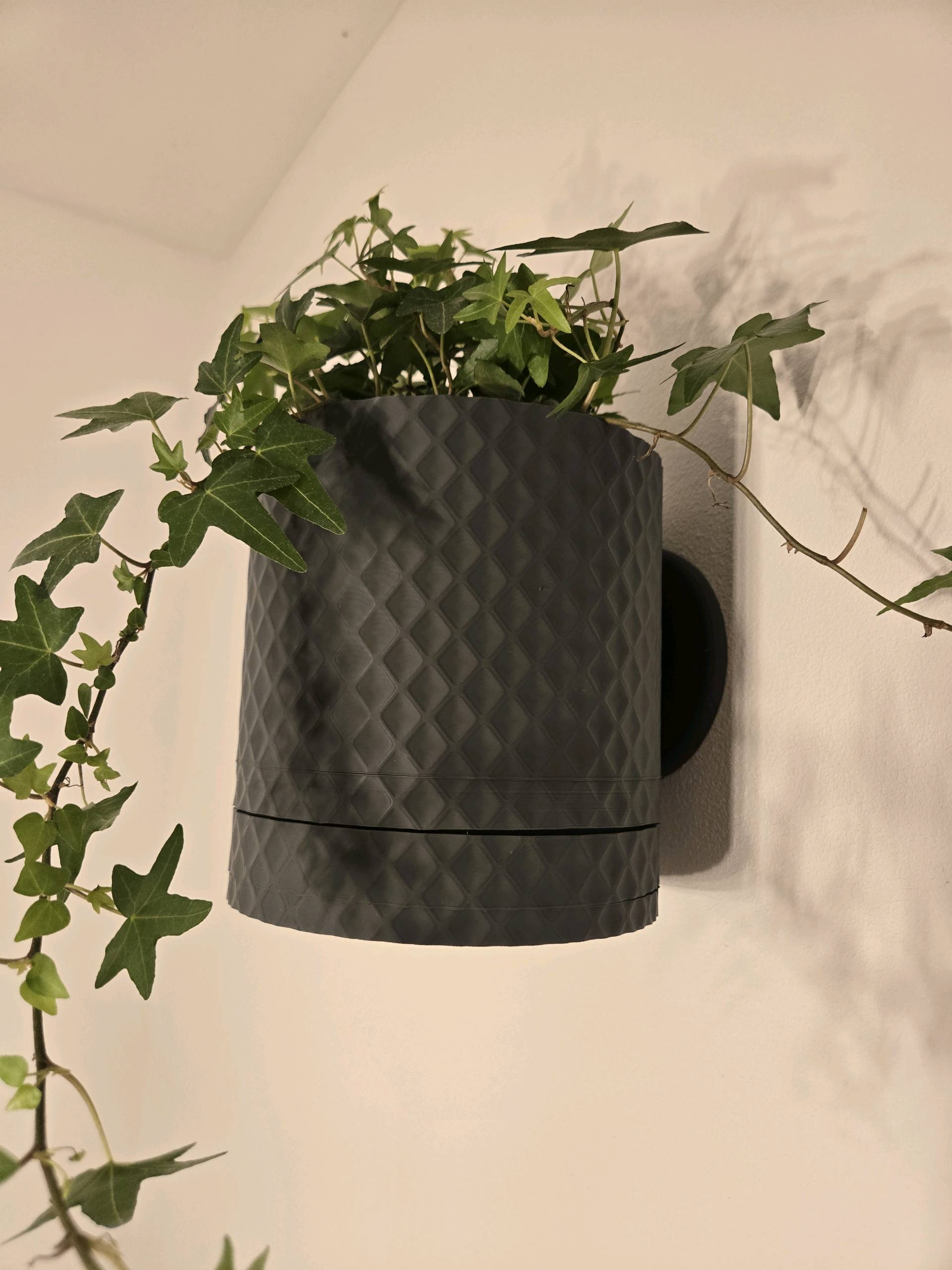 Diamond Design Wall Planter With Hidden Drip Dray
