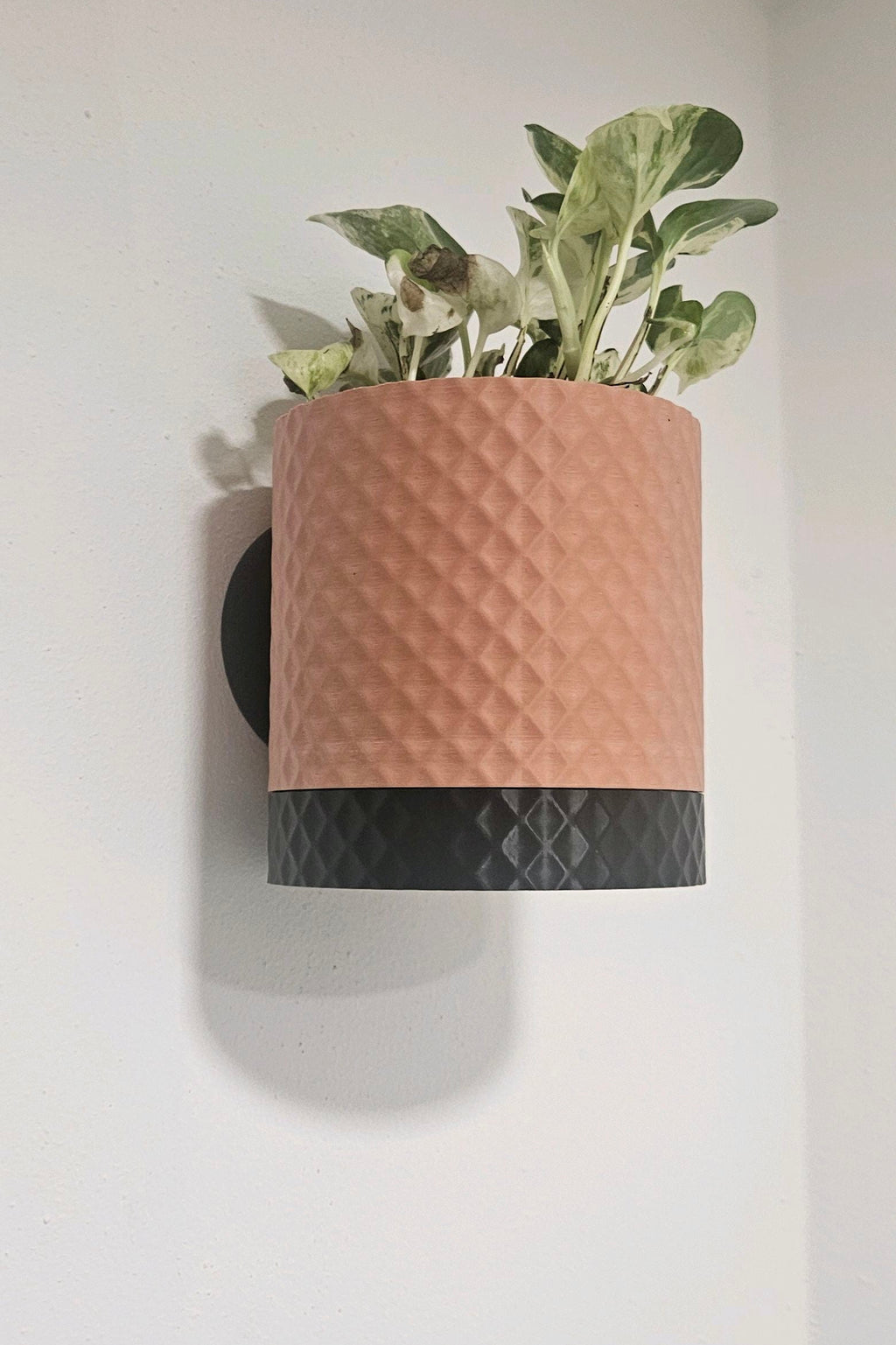 Diamond Design Wall Planter With Hidden Drip Dray