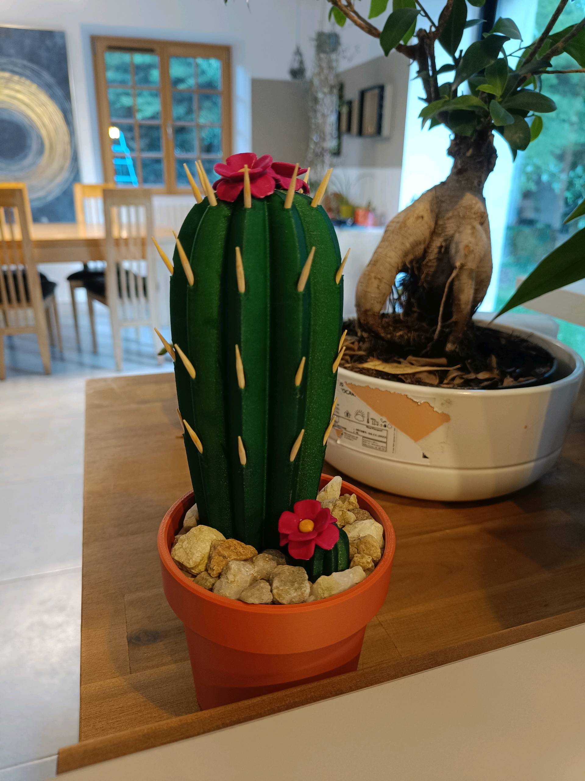 Toothpick Cactus